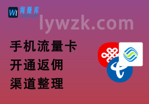手机流量卡_开通返佣_渠道整理(三大运营商汇总)-林伊网赚库