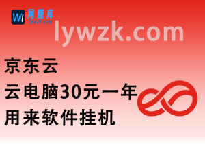 京东云_云电脑30块钱用一年_软件挂机美滋滋~-林伊网赚库