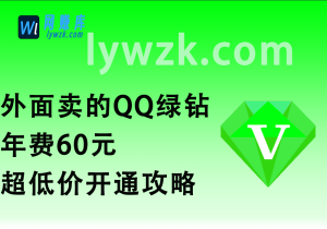 外面卖的QQ绿钻年费_60元超低价开通攻略-林伊网赚库