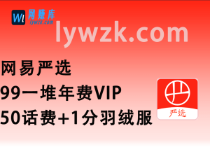 网易严选_99一堆年费VIP+50话费+1分羽绒服(新一期活动)-林伊网赚库