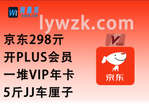 京东298亓开PLUS会员+一堆VIP年卡+5斤JJ车厘子-林伊网赚库