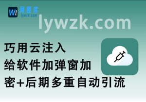 巧用云注入_给软件加弹窗加卡密+后期多重自动引流-林伊网赚库